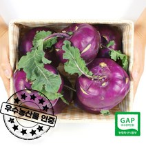 우수농산물 GAP 인증 농장직송 당일수확 제주 햇 콜라비, 특품 콜라비 10kg