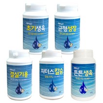 피터스 500g 수용성 비료 화분 화초 초기생육 균형성장 결실기용 칼슘제 무늬종 관엽 식물영양제, 피터스칼슘