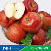 아삭달콤한 거창 꿀사과 가정용 5kg(소과)24-29과 내외, 1개