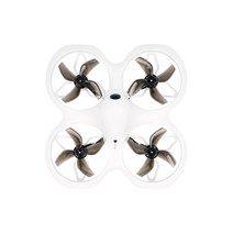 FPV드론 입문용드론 미니드론 BETAFPV Cetus X BWhoop 2S BNF 드론 w/ C04 FPV 카메라 1103-11000KV 브러시, 01 Betaflight ELRS 2.4G