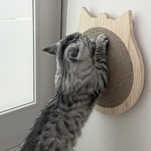 고양이 붙이는 부착형 벽면 돌아가는 스크래쳐, 캣페이스형