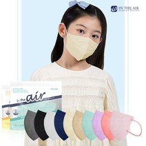 인디에어 유어핏 새부리형 컬러마스크 소형 100매 에코팩, 유어핏 소형M, 네이비 100매 [벌크]