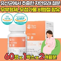 무부형제 유산균배양 자연유래 철분 비헴철 유기농 부원료 철분제 임산부 임신 준비 초기 중기 후기 수유부 모유수유 출산후 어린이 청소년 가임기 20대 30대 여성 여자 영양제, 60캡슐 X 1박스 (1개월분)
