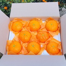 레드향 10과~11과(3kg내외)짱