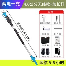 매실나무 가지치기 전지가위 독일 충전식 주석 산업용 컬러 스틸 감나무 가지치기 전동가위, 4.0cm 가위 1개 배터리 2개 연장봉