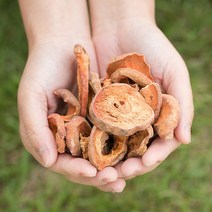 국산 모과(편) 200g 건모과 한방재료 한약재 한방차, 12TK_국산 모과(편) 200g
