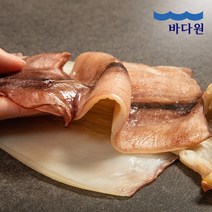 바다원(주) [바다원]동해안 반건조 오징어 5미 500g, 단일옵션