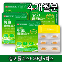 은행잎 추출물 정 기억력 좋아지는 법 혈행 징코 플라보놀배당체 아연 망간 철 구리 비타민B6