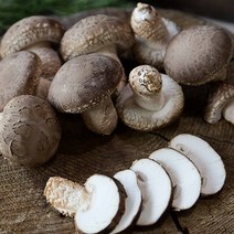 무농약 송화고버섯 실속형 1kg, 송화고버섯(실속형)1kg