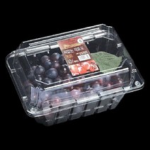 태방샵 공식쇼핑몰TB-101-1k (포도1kg)과일 야채 채소 포장재 필름 봉투 용기 PE OPP PET