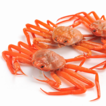 [산지직송] 최상급 프리미엄 홍게 수율 90%이상 살이 꽉 찬 자숙 홍게, 라면용(육수용) 홍게 10마리