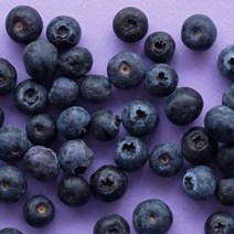 생블루베리 블루베리 생과 250g 과일 간식 블루베리생과