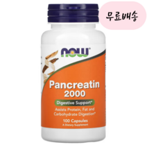 [나우푸드]-M2-Pancreatin 판크레아틴2000 100개입, 1개, 100개