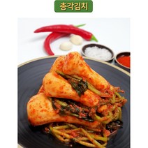 [건채담] HACCP 국내산 전라도 김치 15가지 1kg 3kg, 건채담 총각김치 1kg