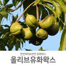 [제미니상사] 천연화장품 만들기 천연버터&천연유화왁스, 천연유화왁스_올리브 50g