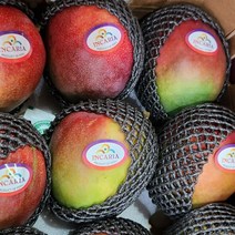 황금열매 남미 페루산 애플망고 4kg 7~13과, 애플망고4kg 7-10과