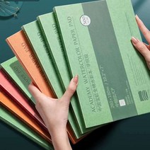 바오홍 휴대용 패드 데셍 전문가용 소묘 아티스트, 16K(잔주름x중간결)