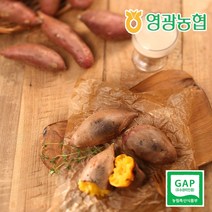 [영광농협] 22년 햇 꿀청고구마 맛있는 꿀고구마 5kg (특상중), 1개