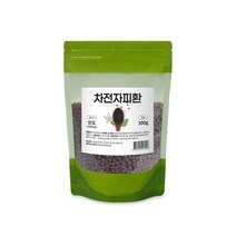 차전자피환 300g /1팩 식이섬유-72394EA, 1, 본상품선택, 본상품선택
