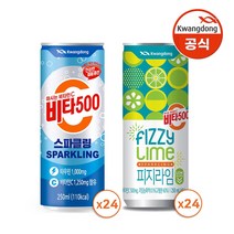 [본사직영]광동 비타500 스파클링 250ml x 24캔 + 피지라임 250ml x 24캔, 스파클링+피지라임, 48캔