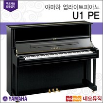 야마하 U1, 아먀하 U1/PE