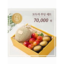 [새벽배송]초신선 당일경매입고 메론1수 골드키위3 자두6 고당도 생일선물 기념일 선물세트/가락시장 최상급과일 서울청과, 메론1수자두6수키위3수
