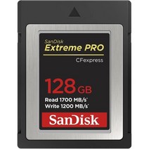 샌디스크 익스트림 프로 CFexpress 카드 Type B SDCFE 128GB