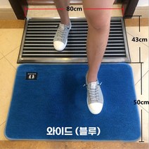 신발 먼지 제거 발판 소독 세척 업소용 입구 바닥 출입구 흙털이 물기제거, H. 블루_와이드