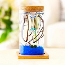 코르크마개 LED 컬러 불빛 유리병 유리병전구 유리돔