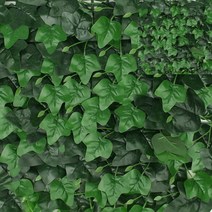 아이비 벽장식 인조잔디 60x40cm 잔디매트 베란다인조잔디 신발장매트 옥상인조잔디 정원잔디 테라스인조잔디 옥