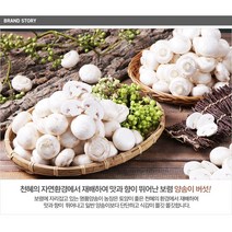 보령머쉬팜 양송이버섯파지2Kg/포타벨라버섯파지2kg/양송이버섯 꼬다마2kg, 포타벨라파지2kg
