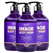 위스티 이미지 향기 좋은 등드름 완화 바디워시 씨에로 500ml, 3개