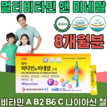 식약처 인증 온가족 패밀리 멀티 비타민 앤 & 미네랄 A B2 B6 C 철 보충용 제품 나이아신 맛있는 가루 분말 파우더 스틱 미너랄 건강 기능 식품 영양 보충 제 파는곳 추천, 2