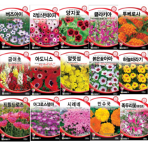 봄꽃 겹꽃 아마 부용화 아마 수국 세이지 아욱 플록스 국화 접시꽃 데이지 양지꽃 나팔꽃 사루비아 풍접초 투베로사 아도니스 클라키아 채송화 장미 봉선화 해바라기 꽃잔디 씨앗, 금잔화