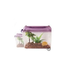 PH02 딸기소라게 사육세트 - (소라게키우키)