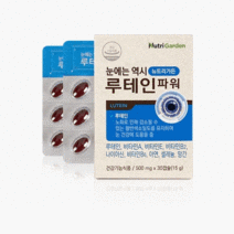 눈에 좋은 루테인 황반변성 눈피로 건강 영양제 약 1개월분 + 사은품 증정