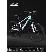 자전거 피닉스 마그네슘 합금 산악 남성과 여성 26 인치 오프로드 피닉스 오일 디스크, 24인치, 마그네슘마그네슘 합금미세 전시 킷백록, 24단