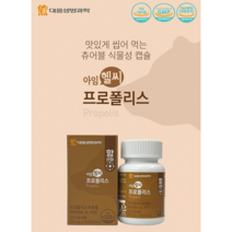 프로폴리스츄어블 어린이프로폴리스아연 아이프로폴리스 프로폴리