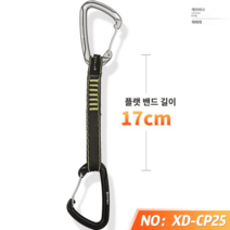 암벽등반 카라비너 퀵드로우 도르레 산업 경량 구조 거벽 빙벽 슬링 등산장비, XDCP25 플랫밴드길이17CM, 1개