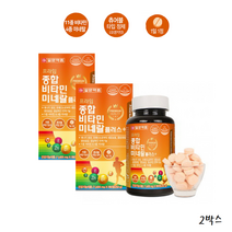 일양약품 종합 비타민 미네랄 츄어블 가족 성장기 어린이 청소년 면역 종합 영양제 2박스