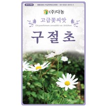 벌개미취 300립 - 야생화 씨앗 꽃씨 씨 꽃씨앗 벌개미취씨앗 벌개미취씨 다년생 여러해살이 야생화씨 야생화씨앗 꽃, 03_다농_구절초(1000립)