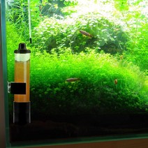 Artemia Eggs for Aquarium Incubator Accessos, 한개옵션0
