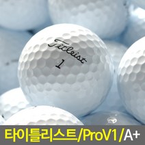 타이틀리스트 로스트볼, 타이틀리스트 2피스 화이트 A-급10개, 10개
