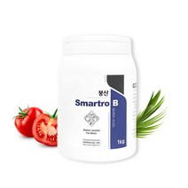 Smartro B 붕산 1kg 수용성붕소 50% 이상, 1개
