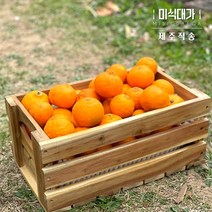 당일수확 제주 카라향 3kg 5kg 10kg 고당도 제철과일 귤 감귤, 1개