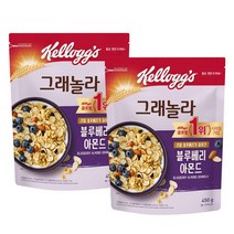 켈로그 시리얼 블루베리 아몬드 그래놀라 450g x 2개, 단품