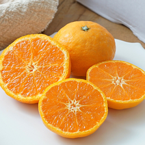 [제주직송] 당도보장 꿀달콤 카라향 2kg 대과 (8-12과)