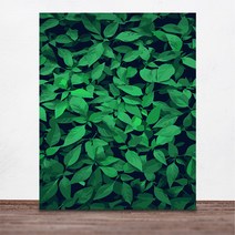 위메이크 페인팅 DIY 명화그리기 그린 그라스 40x50