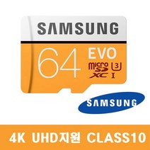 삼성전자 스미스클럽 블랙에디션 SB-300 외장메모리카드 64G EVO, 64GB