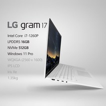 LG전자 2022 그램17(12세대) 17ZD90Q-GX76K [프리미엄 패키지] + 사은품 증정, Win11 Pro, 16GB, 512GB